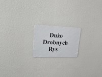 DRZWI PRZÓD LEWE KIEROWCY Suzuki Grand Vitara II 5d srebrny Z2S