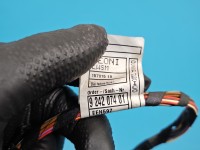 Instalacja Wiązka drzwi przód prawych BMW X6 E71 9242074