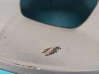 Felga aluminiowa 17" Suzuki Vitara II 2015- alufelga