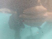 DRZWI PRZÓD LEWE KIEROWCY Mitsubishi Lancer VIII 5d szary A39