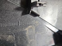 Osłona ZAŚLEPKA PLASTIK Producent części: DS, Tunelu środkowego CITROEN DS4 II 21- 983102468000