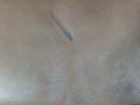 Fotel prawy przód pasażera AUDI Q5 08- 5d EUROPA