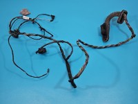 Instalacja Wiązka drzwi tył lewych BMW X6 E71 9243557