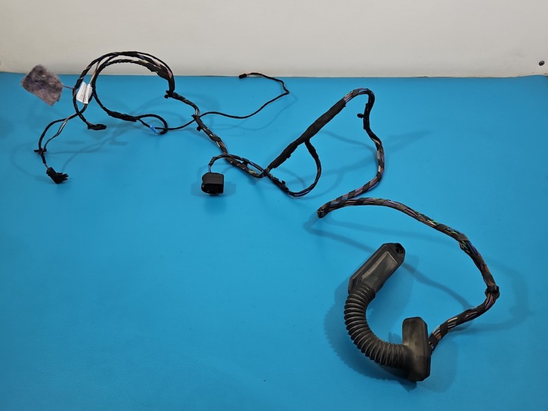 Instalacja Wiązka drzwi tył lewych BMW X6 E71 9243557