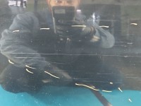 Drzwi tył lewe i20 III 2020- HB 5d czarny, X5B