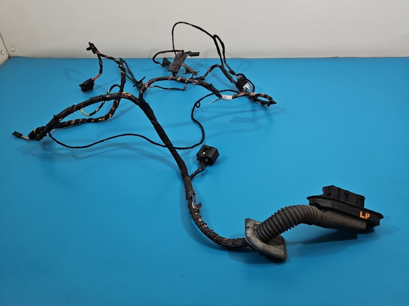 Instalacja Wiązka drzwi przód lewych BMW X6 E71 924207001, 9169242