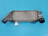 Intercooler Fiat Scudo II 06- 1510100139 2.0 jtd