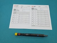 Wtryskiwacz Citroen C3 I 1.4 hdi