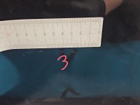 Drzwi tył lewe Renault Megane III kombi 5d NV676