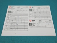 Wtryskiwacz listwa wtryskowa 0445110617, 7810702 bmw F30 2.0d N47D20 184KM