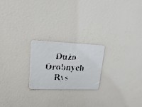 Maska przednia Audi A4 B6 brak kodu lakieru