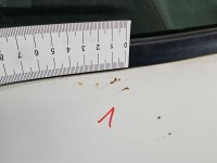 DRZWI PRZÓD PRAWE PASAŻERA Fiat Ducato III 06-14 boxer jumper 5d biały