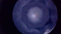 Silnik Vw Passat B8 2.0 tdi 190KM ODPALANY FILM POMIAR