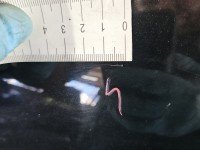 Błotnik przód lewy Mazda 6 II GH czarny 35N