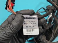 Instalacja Wiązka drzwi tył lewych AUDI Q5 8R 08- 8R0971687AH