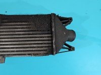 Intercooler Iveco Daily IV 06-14 3.0 HPI