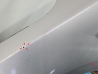 Błotnik przód lewy Mazda 3 I BK brak kodu lakieru