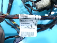 Instalacja Wiązka drzwi przód lewych BMW X5 E70 924207001, 9203113