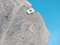 Osłona Producent części: FORD, podwozia lewa, JX6B-F11133-BA Ford Focus Mk4 1.5 TDCI