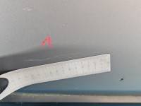 DRZWI PRZÓD PRAWE PASAŻERA Ford Freestyle Taurus X 5d beżowy PNUPL0 - Silver Birch Metallic