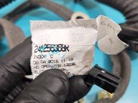 Instalacja Wiązka drzwi przód prawych Renault Scenic III 241256368R