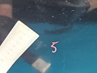 Drzwi tył prawe Ford Focus Mk3 kombi 5d FB