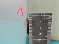 DRZWI PRZÓD PRAWE PASAŻERA Suzuki Swift Mk6 5d srebrny