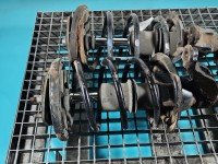 Amortyzator przód komplet lewy prawy Honda Civic VII L+P