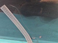 DRZWI PRZÓD LEWE KIEROWCY Bmw e60 e61 5d czarny 668