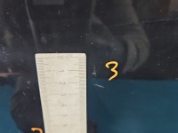 DRZWI PRZÓD PRAWE PASAŻERA Kia Sportage III 10-15 5d 1k