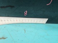 DRZWI PRZÓD PRAWE PASAŻERA BMW X5 E53 5d czarny 475/9