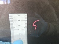 DRZWI PRZÓD PRAWE PASAŻERA Peugeot 301 4d brązowy kcmc