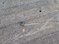 Osłona Hyundai, podwozia lewa i20 III 2020- 1.2 16V (G4LF)