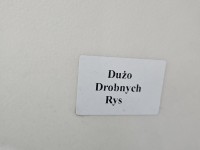 Drzwi tył prawe Opel Zafira B HB 5d Z20R