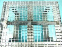 Amortyzator tył lewy CITROEN DS4 15-20 HB tylny