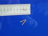 DRZWI PRZÓD LEWE KIEROWCY Skoda Fabia II 5d niebieski 4590