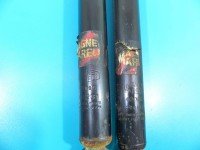 Amortyzator tył komplet tylny lewy prawy Dacia Sandero I 08-12 L+P