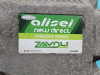 Sterownik LPG gazu 0616225301263 Producent części: Audi, ZAVOLI A ALISEI NEW DIREC, 6CYL