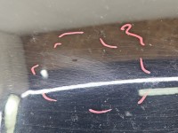 Klapa tył Alfa romeo 159 sedan 4d 802/B