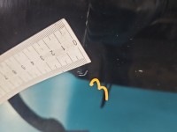 Maska przednia Audi A3 8L