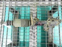 Amortyzator przód lewy przedni Nissan Tiida