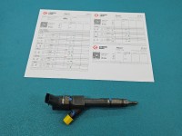 Wtryskiwacz Renault Scenic II 0445110110 1.9d