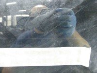 DRZWI PRZÓD LEWE KIEROWCY Suzuki XL-7 II 06-09 5d czarny 1SC