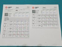 TESTOWANY Wtryskiwacz komplet Fiat Doblo II 0445110300 1.6 JTD (263a3000)