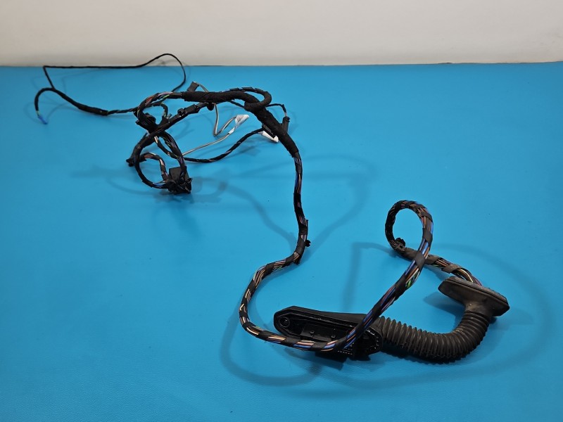 Instalacja Wiązka drzwi tył prawych BMW X6 E71 9243557