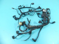 Wiązka instalacja Producent części: BMW, 1251780219602 7804190 53781210 59122110 7507257 794201 61049002C 7789318 7793831...
