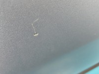 Drzwi tył prawe Ford Focus C-Max I MK1 HB 5d błękitny