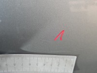 Drzwi tył lewe Ford Freestyle Taurus X HB 5d beżowy PNUPL0 - Silver Birch Metallic