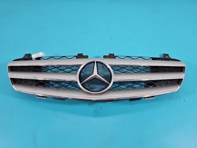 Atrapa grill Mercedes W251