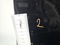 DRZWI PRZÓD PRAWE PASAŻERA Peugeot 407 4d czarny, EXLD